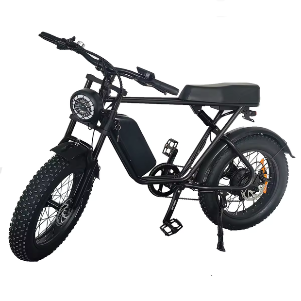 C91 | 17.5AH | 1000W Motor | 50KM/H