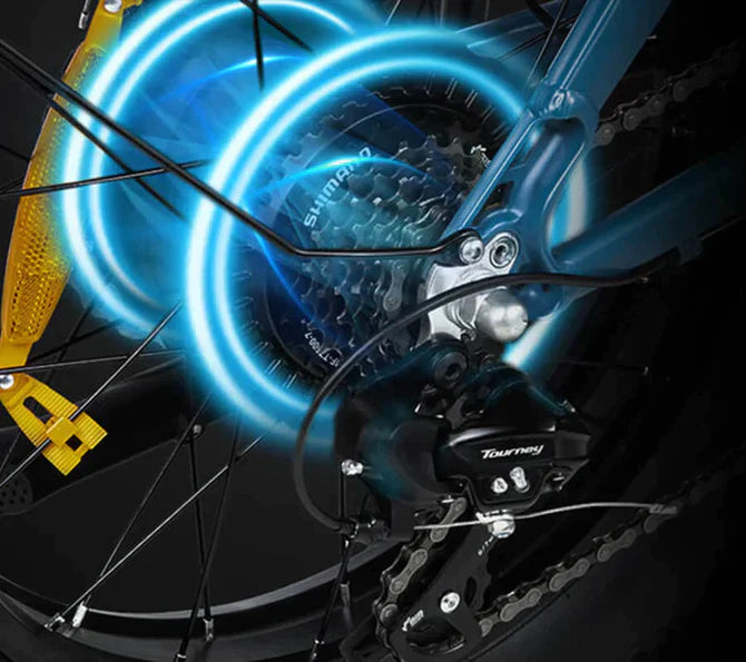 DYU FF500 |  14Ah | 48V 500W | 45 km/h Speed