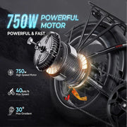 SAMEBIKE | LOTDM200-II | 750W | 48V 13AH | 25KM/H