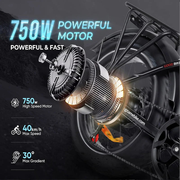 SAMEBIKE | LOTDM200-II | 750W | 48V 13AH | 25KM/H