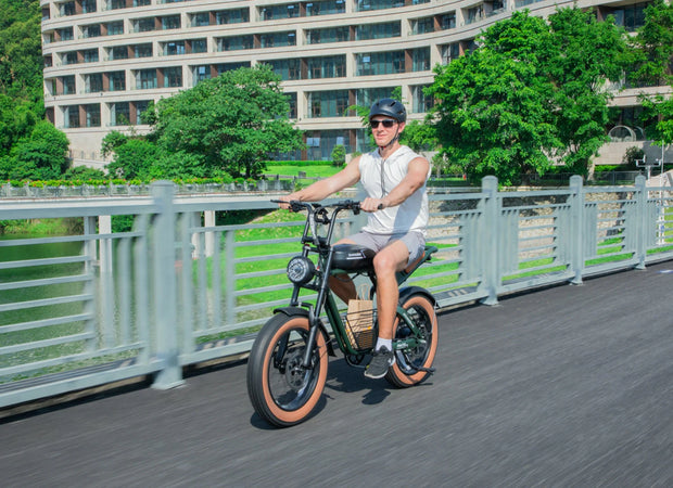 SAMEBIKE M20 | 1000W | 16AH | 48V 18Ah | 25KM/H