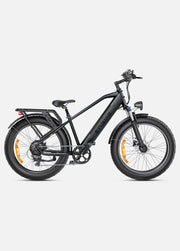 ENGWE E26 E-Bike