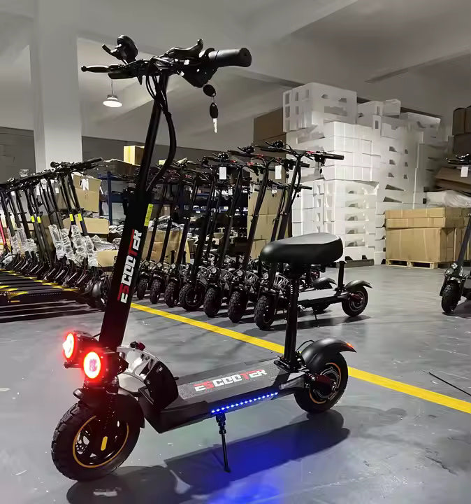 LD - L10 Pro | 800W 48 V 13Ah | 35-45km Range