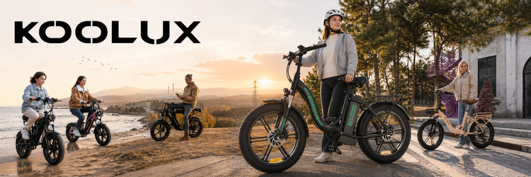 Fat-tyre e-bikes