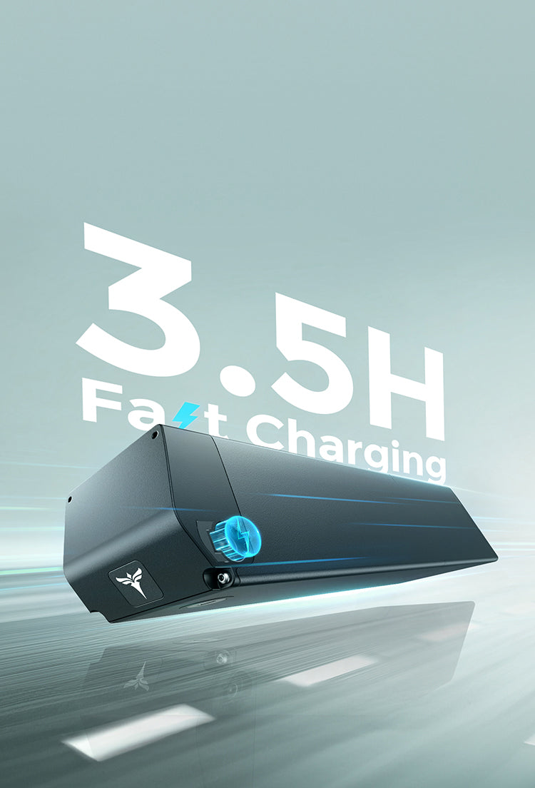 ENGWE EP-2 3.0 Boost | E-Bike | 250W | 25km/h | 48V 13.5Ah