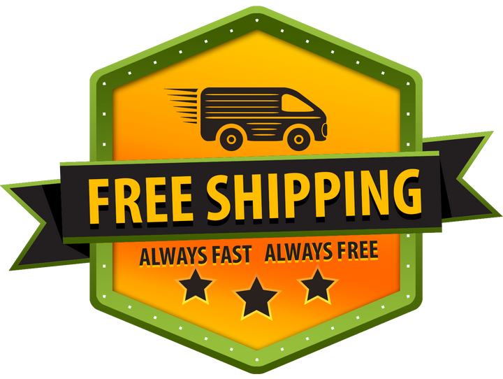 electric bike free shipping