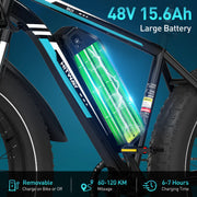 HITWAY BK15 E-Bike 250W Motor|48V 15Ah Battery| 26*4.0'' Tire
