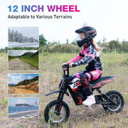 RCB R9X 300W Electric Kids Motorcycle 36V 4Ah Battery E-Bike